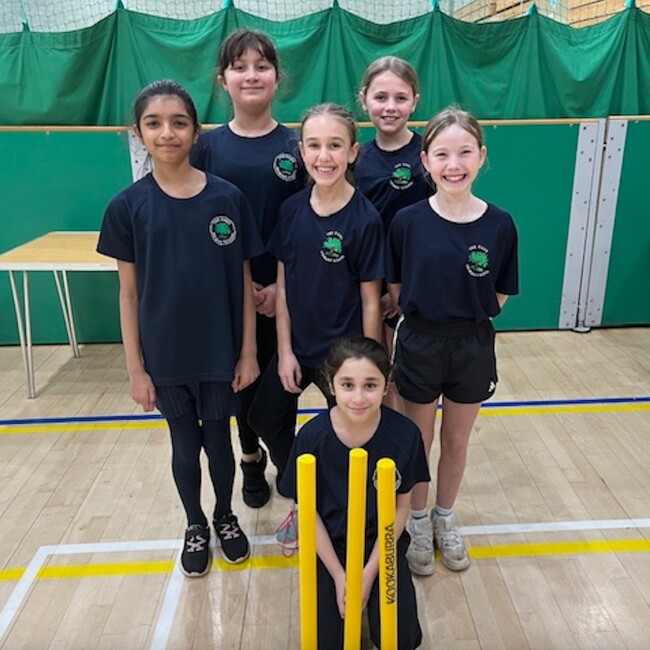 Year Five Cricket