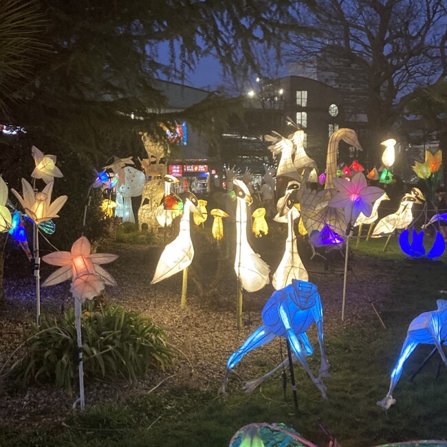 Year 5 - Spring Forward Lantern workshop and Event